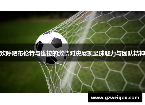 欢呼吧布伦特与维拉的激情对决展现足球魅力与团队精神