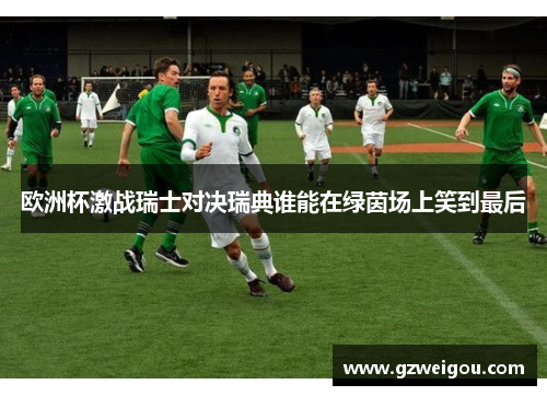 欧洲杯激战瑞士对决瑞典谁能在绿茵场上笑到最后