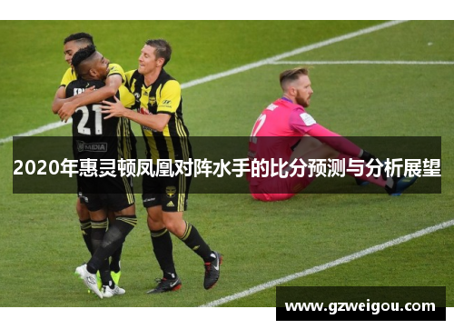 2020年惠灵顿凤凰对阵水手的比分预测与分析展望