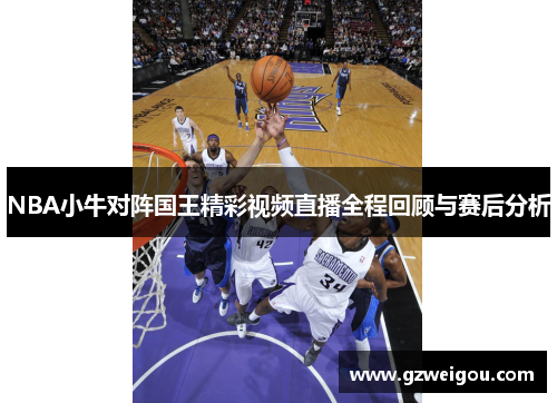 NBA小牛对阵国王精彩视频直播全程回顾与赛后分析